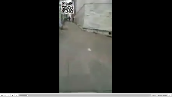 Impossible de lire la video