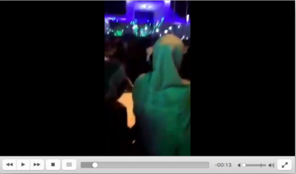 Impossible de lire la video
