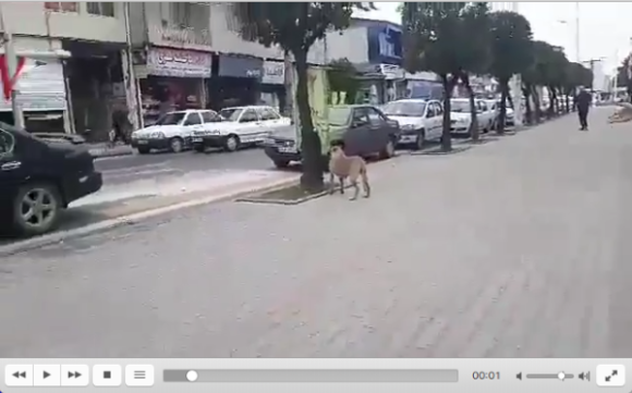 Impossible de lire la video