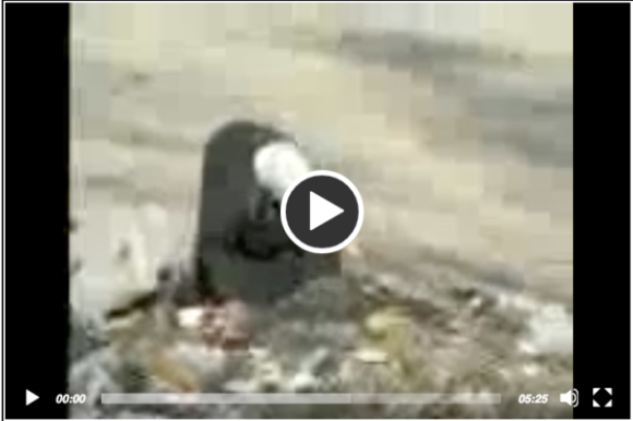 Impossible de lire la video