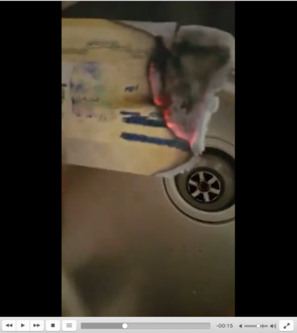 Impossible de lire la video